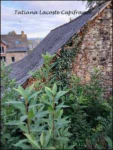 Grange à rénover