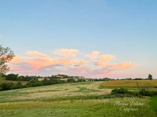 For sale: property with 2 houses, gîtes, bed and breakfast rooms and a reception hall in the Tarn region