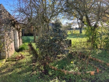 Dpt Charente Maritime (17), à vendre NIEULLE SUR SEUDRE maison P4, 87 m²   