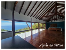 Modern villa with swimming pool