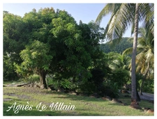 Propriété à Rénover à 300 m de la Plage de Grande Anse