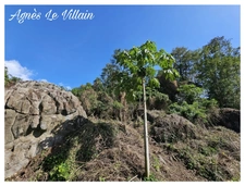 Land with Sea View and Large Rocks, 1041 m2
