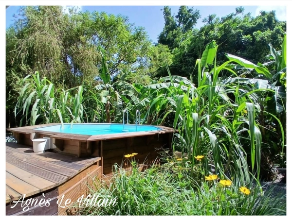 -- EXCLUSIVITÉ -- Villa Piscine + 2 Logements Plage Grande Anse à 800 m