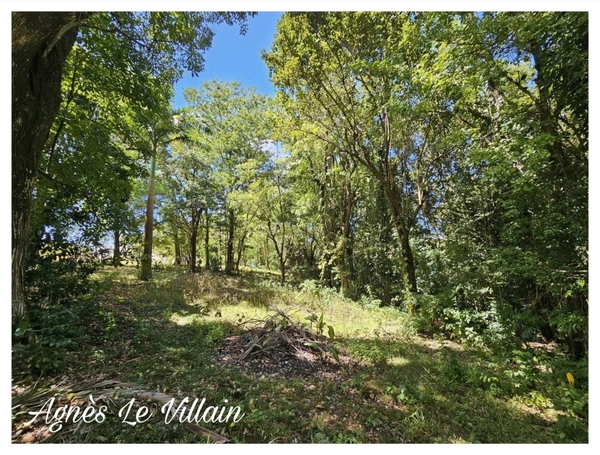 Terrain Arboré à Pigeon 3 500 m2