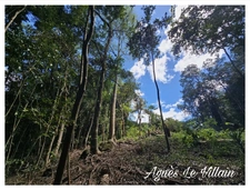 Terrain Arboré à Pigeon 3 100 m2