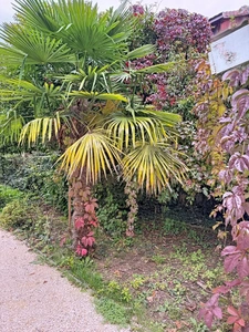 For sale in GAILLARD (74), a 7-room bourgeois house of 227 m² + outbuilding (convertible) on a plot of approx. 1200 m²