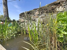 Lucinges, Maison à vendre 4 pièces de 134 m2 (74) Terrain d'env. 450 m2