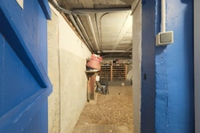 Maison à vendre ORSAY (91), beaux volumes, 5 chambres, ouverture sur jardin, terrain 1000 m2