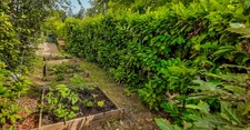 House for sale GIF SUR YVETTE (91), 166 m2, 6 bedrooms, charming garden, calm and greenery