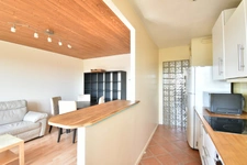 Appartement à vendre 2 pièces ANTONY (92), lumineux très proche RER et tramway
