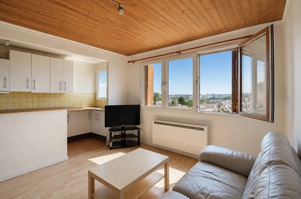 Appartement à vendre 2 pièces ANTONY (92), lumineux très proche RER et tramway