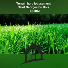 À vendre : Terrain rare de 1632 m² hors lotissement, non viabilisé, SAINT GEORGES DU BOIS (17), proche SURGERES