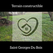 Terrain à vendre  - parcelle 462 m2 - SAINT GEORGES DU BOIS (17)