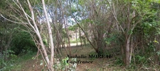 Maison à vendre 8 pièces AUTUN (71) terrain 2 690m2.