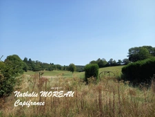 House for sale 5 rooms (58) - 85 m2 living space - 