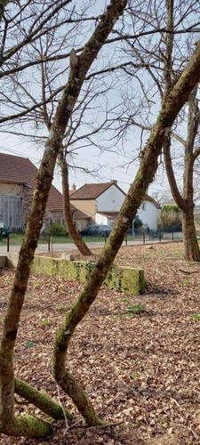 Maison à vendre 2 pièces EPINAC (71)