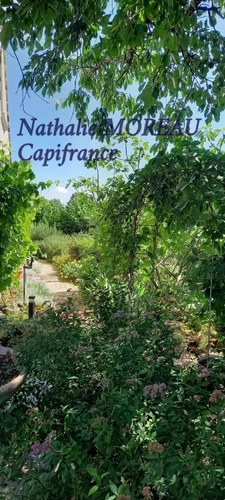 Maison à vendre 5 pièces SAINT LEGER SOUS BEUVRAY (71)