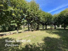 Propriete fin 18e siècle à vendre - Parc arboré de 9 000m2 - Idéal Gite - Chambres d'hôtes - 