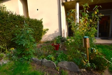 Appartement plain-pied avec extérieur LE CHAMBON SUR LIGNON (43)