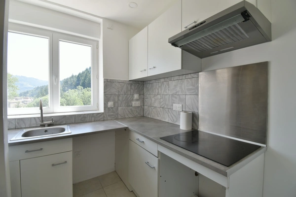 Appartement lumineux, refait à neuf avec balcon SAINT MARTIN DE VALAMAS (07)