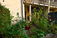 Appartement plain-pied avec extérieur LE CHAMBON SUR LIGNON (43)
