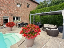 Ligny-en-Cambrésis – Propriété de charme avec piscine et parc arboré