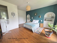 Maison à vendre 12 pièces NANTILLE (17)