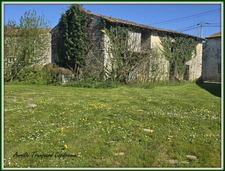 Maison BOURGEOISE à vendre 6 pièces + DEPENDANCES,  à FONTENET (17400) composée de 4 chambres, bordée d'un petit ruisseau et 6300m² de terrain