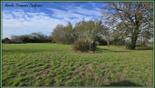 Terrain  3743 m² à vendre proche Saint jean d'Angély et proximité Surgères