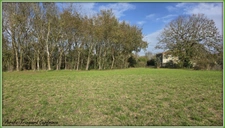 Terrain  3743 m² à vendre proche Saint jean d'Angély et proximité Surgères