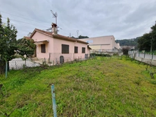 A louer, Maison et Entrepôt, 200 m², Plaine du Var, Lingostière, Nice 06200, Alpes-Maritimes