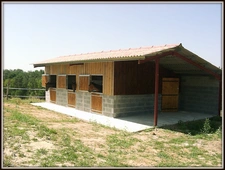 13 Ha Property - Manor House + Apartment + Horse Stables
