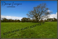 PROCHE PEYREHORADE ( Commune de Saint Cricq du Gave ) - TERRAIN A BATIR - 1156 m2