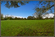 PROCHE PEYREHORADE ( Commune de Saint Cricq du Gave ) - TERRAIN A BATIR - 1156 m2