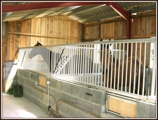 13 Ha Property - Manor House + Apartment + Horse Stables