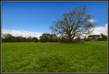 PROCHE PEYREHORADE ( Commune de Saint Cricq du Gave ) - TERRAIN A BATIR - 943 m2