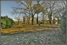 NEAR MONT DE MARSAN (20 min WEST side) - MAGNIFICENT LANDES VILLA of 266 m2 - 7 BEDROOMS