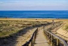 HOSSEGOR PLAGE ( Les dunes à 50 m ) - MAISON TRADITIONNELLE T5 - TERRAIN 600 M2