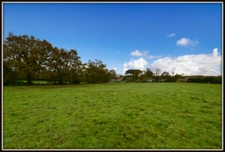 PROCHE PEYREHORADE ( Commune de Saint Cricq du Gave ) - TERRAIN A BATIR - 1156 m2