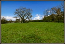 PROCHE PEYREHORADE ( Commune de Saint Cricq du Gave ) - TERRAIN A BATIR - 943 m2
