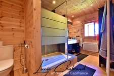 House for sale 10 rooms (05)