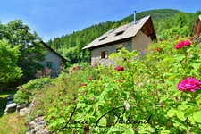 House for sale 10 rooms (05)