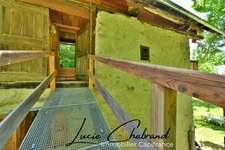 House for sale 10 rooms (05)