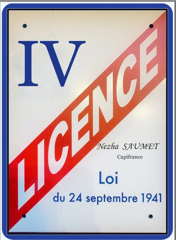Licence IV à vendre AMBILLY (74), 
