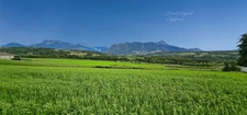 GROISY – TERRAIN A BATIR DE 1 054 M² AVEC MAGNIFIQUE VUE