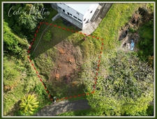 Terrain de 690 m² – au François, quartier Morne Courbaril