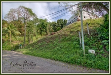 Terrain de 690 m² – au François, quartier Morne Courbaril