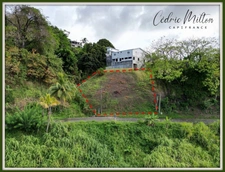 Terrain de 690 m² – au François, quartier Morne Courbaril