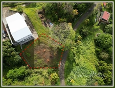 Terrain de 690 m² – au François, quartier Morne Courbaril