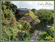 Terrain de 690 m² – au François, quartier Morne Courbaril